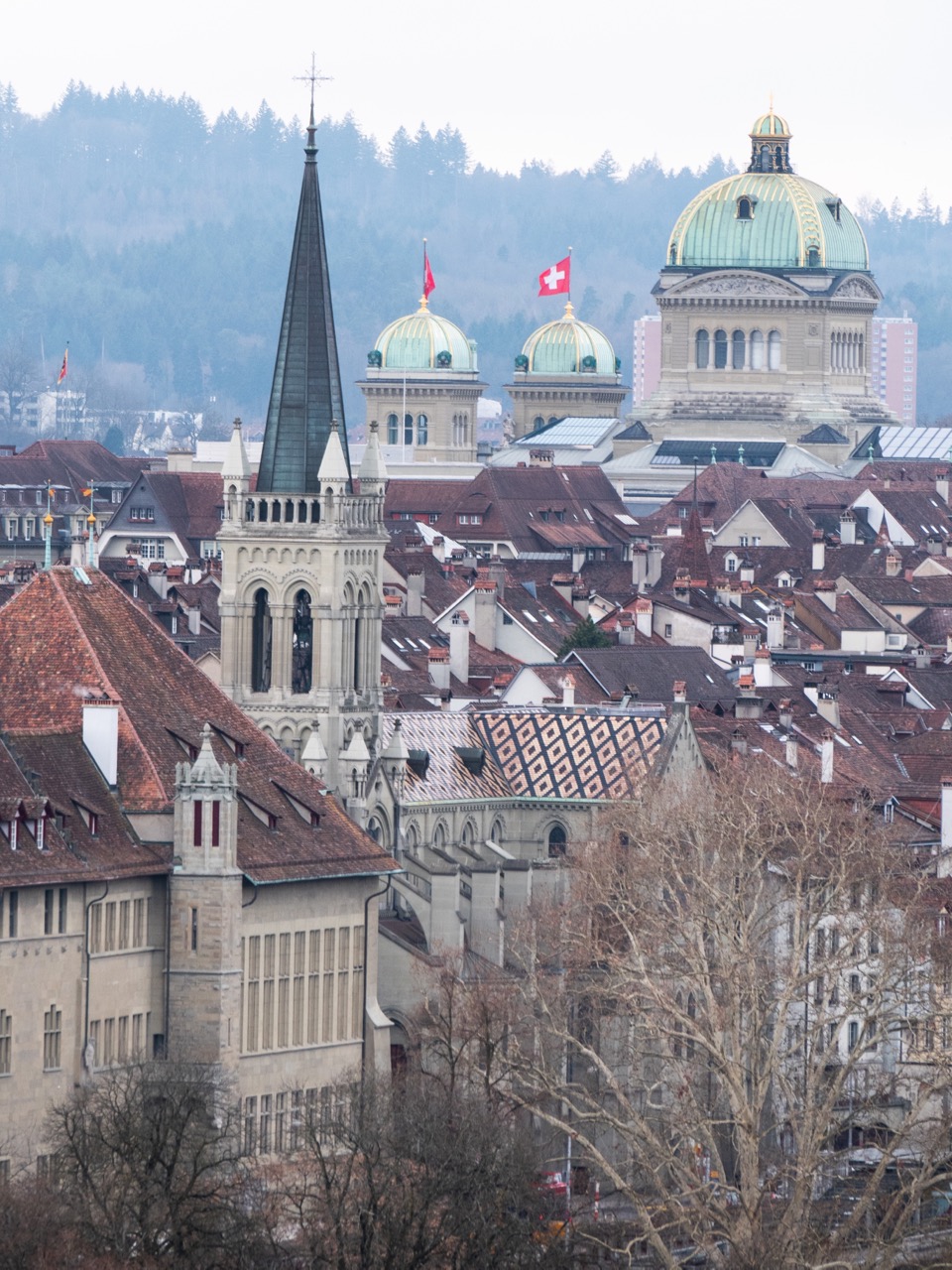 Außenansicht von Nordosten (vom Rosengarten aus)