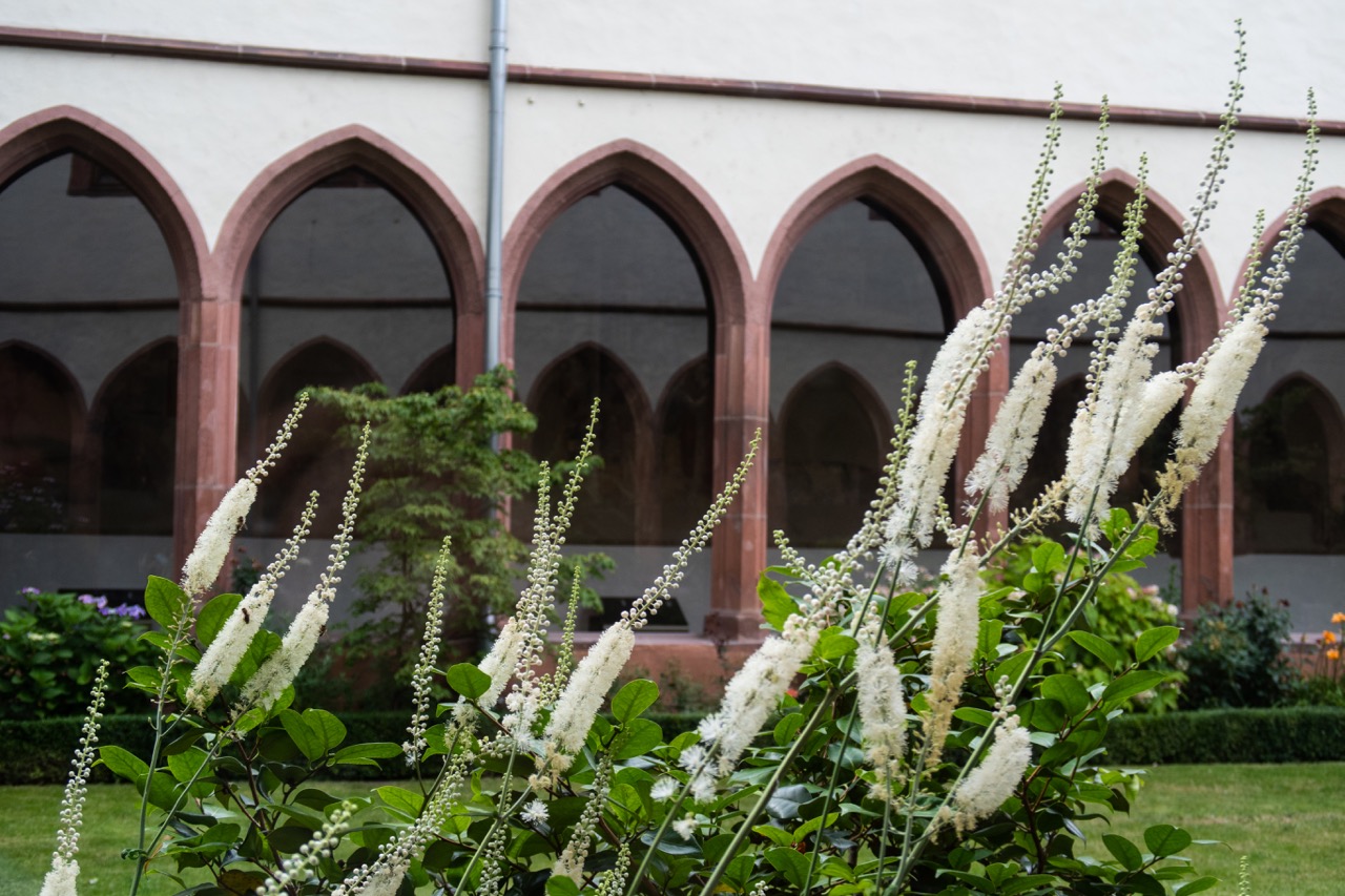 Blumen im Klosterhof