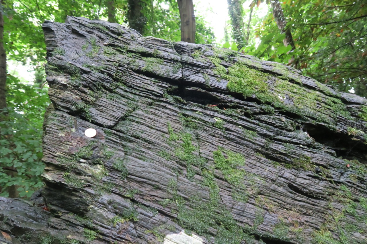 Blue slate outcrop near St Mary’s Church