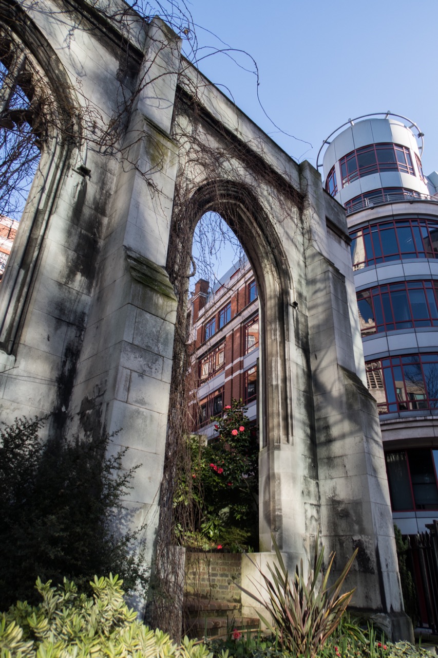 Window arch in the south wall with camellias